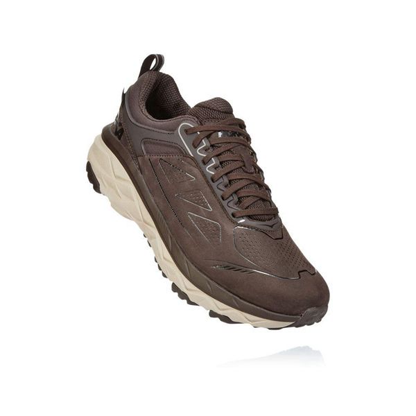 Hoka Challenger Low GORE-TEX Maro Albi | 849017-LNC