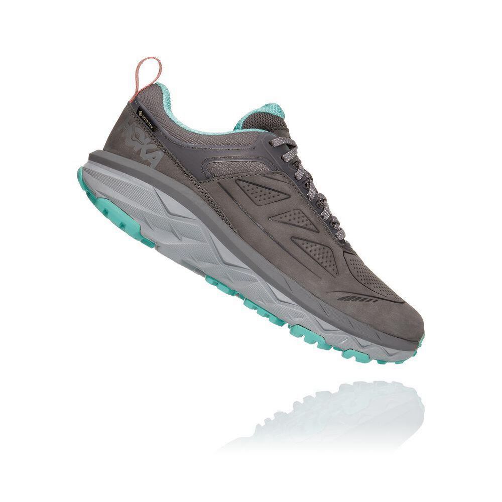 Hoka Challenger Low GORE-TEX Gri | 417890-HBJ