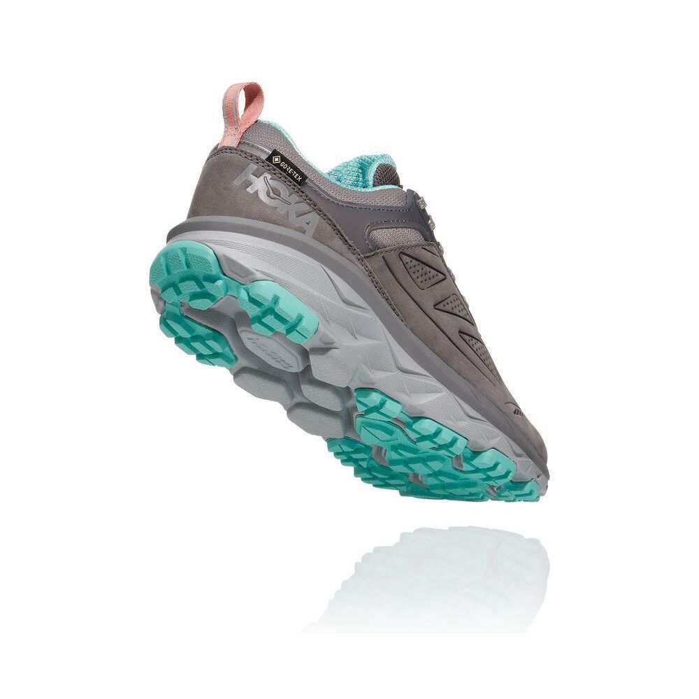 Hoka Challenger Low GORE-TEX Gri | 417890-HBJ