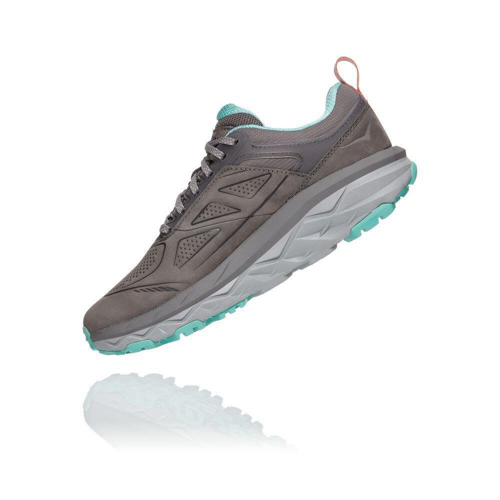 Hoka Challenger Low GORE-TEX Gri | 417890-HBJ