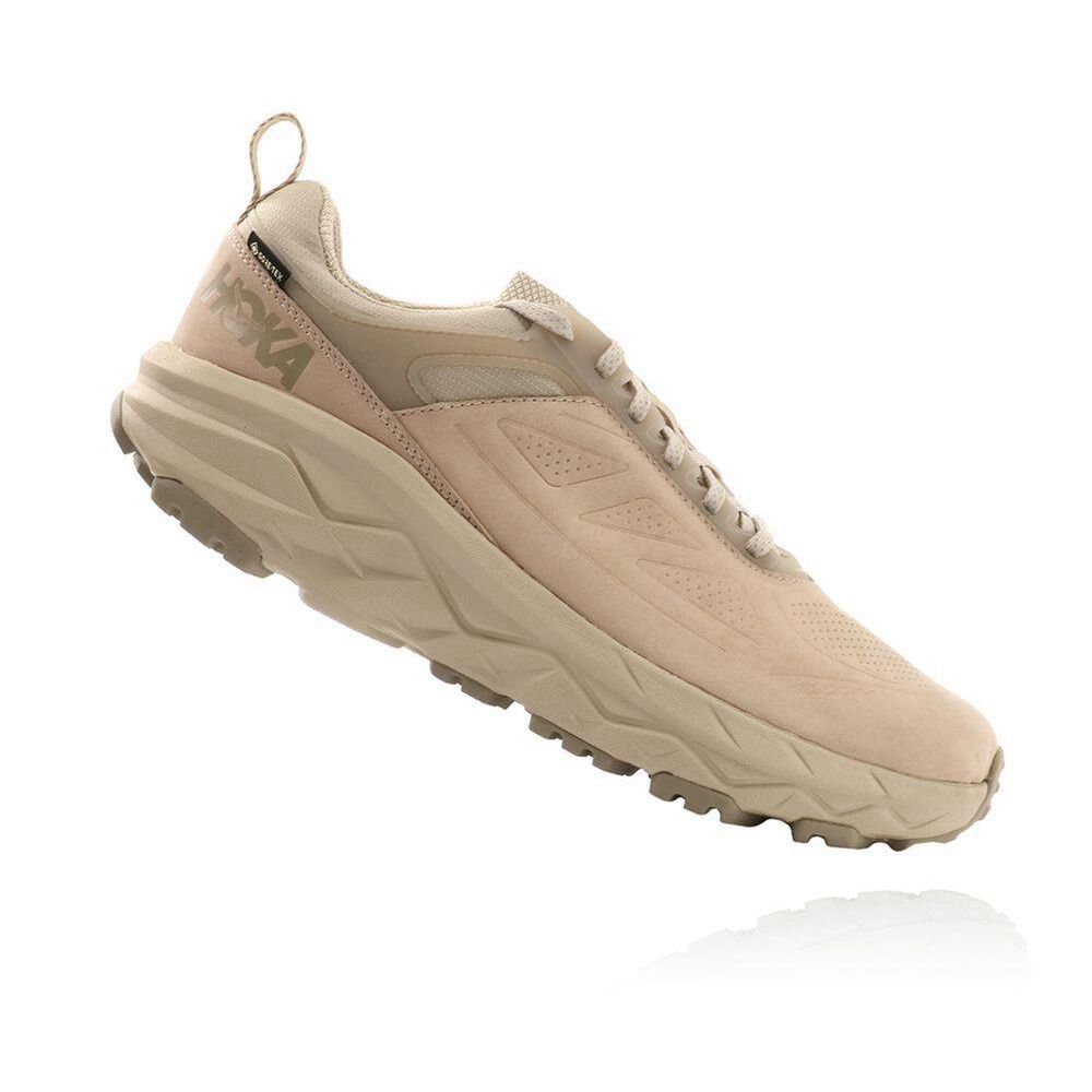 Hoka Challenger Low GORE-TEX Maro | 280143-JBV