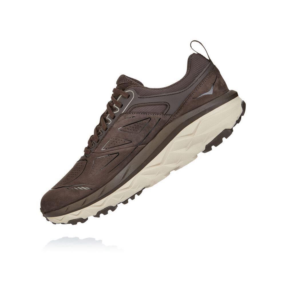 Hoka Challenger Low GORE-TEX Maro Albi | 529481-QXV